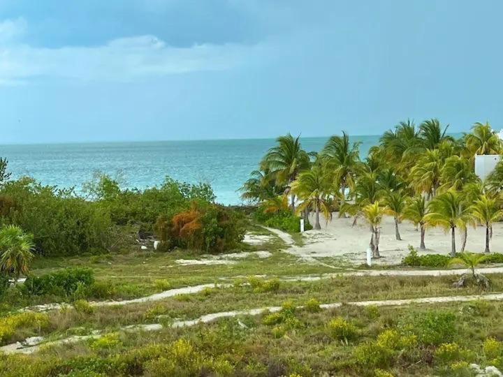 Holbox Te Quiero Luxury Suites Екстер'єр фото